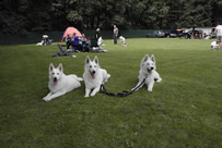 Keona,Coralie,D.-Jack